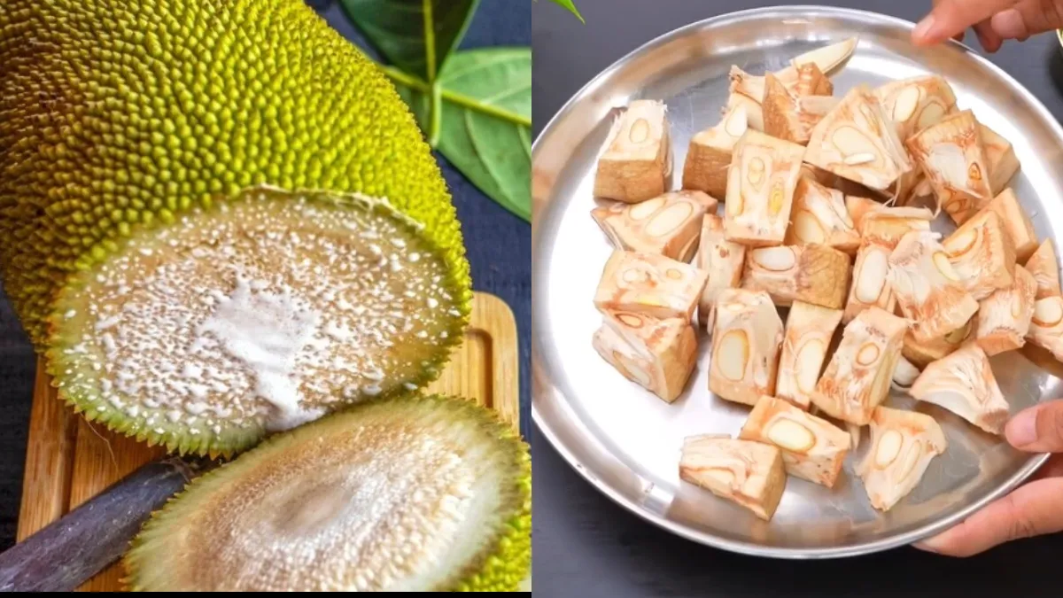 बिना चिपके कटहल काटने के टिप्स- India TV Hindi