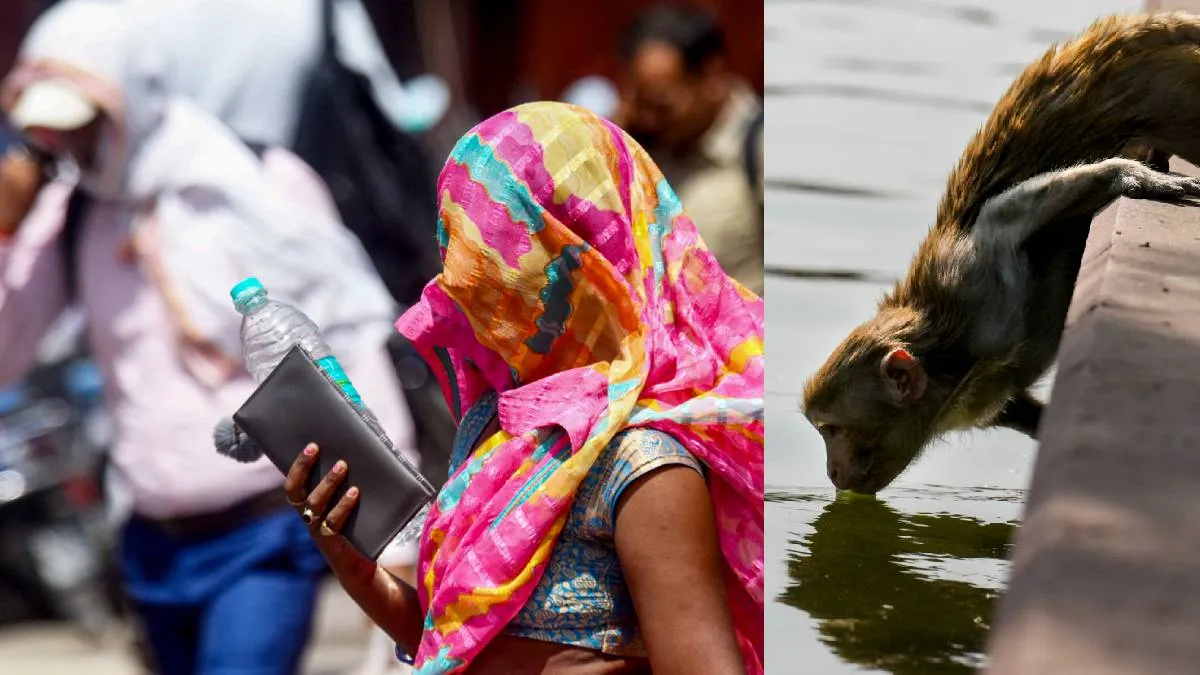 पटना में गर्मी के बीच जाती महिलाएं। दूसरे तस्वीर में प्यास बुझाता बंद- India TV Hindi