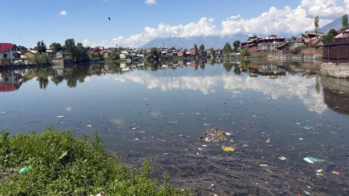 jammu kashmir lakes at risk- India TV Hindi