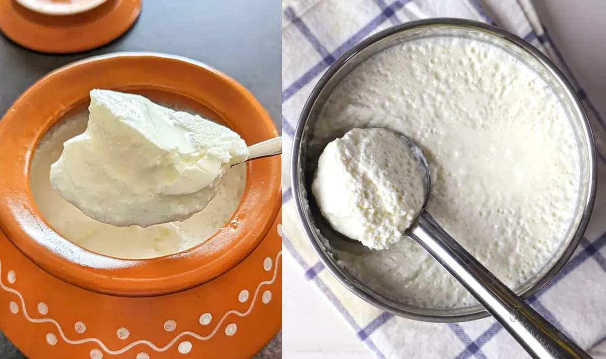 खट्टा दही खाने के फायदे नुकसान- India TV Hindi