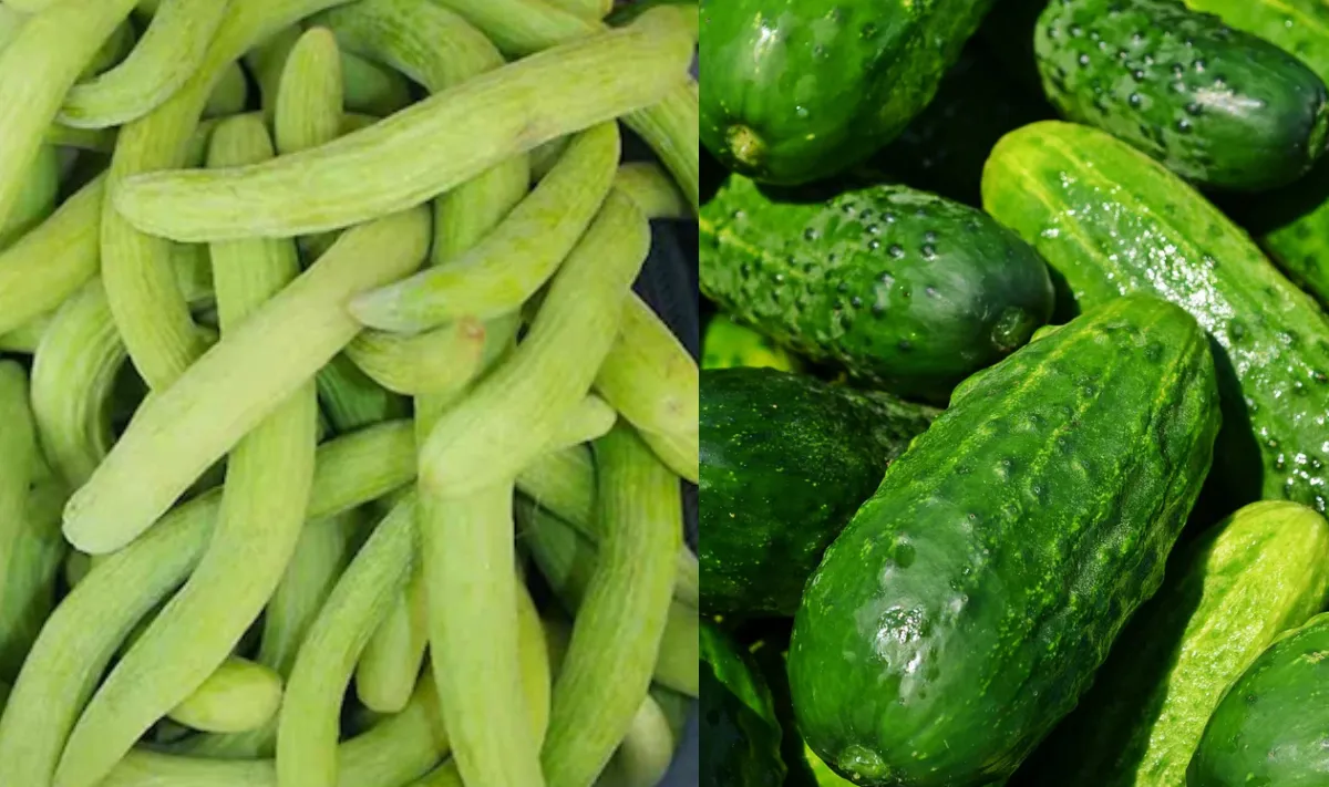 खाली पेट खीरा ककड़ी- India TV Hindi