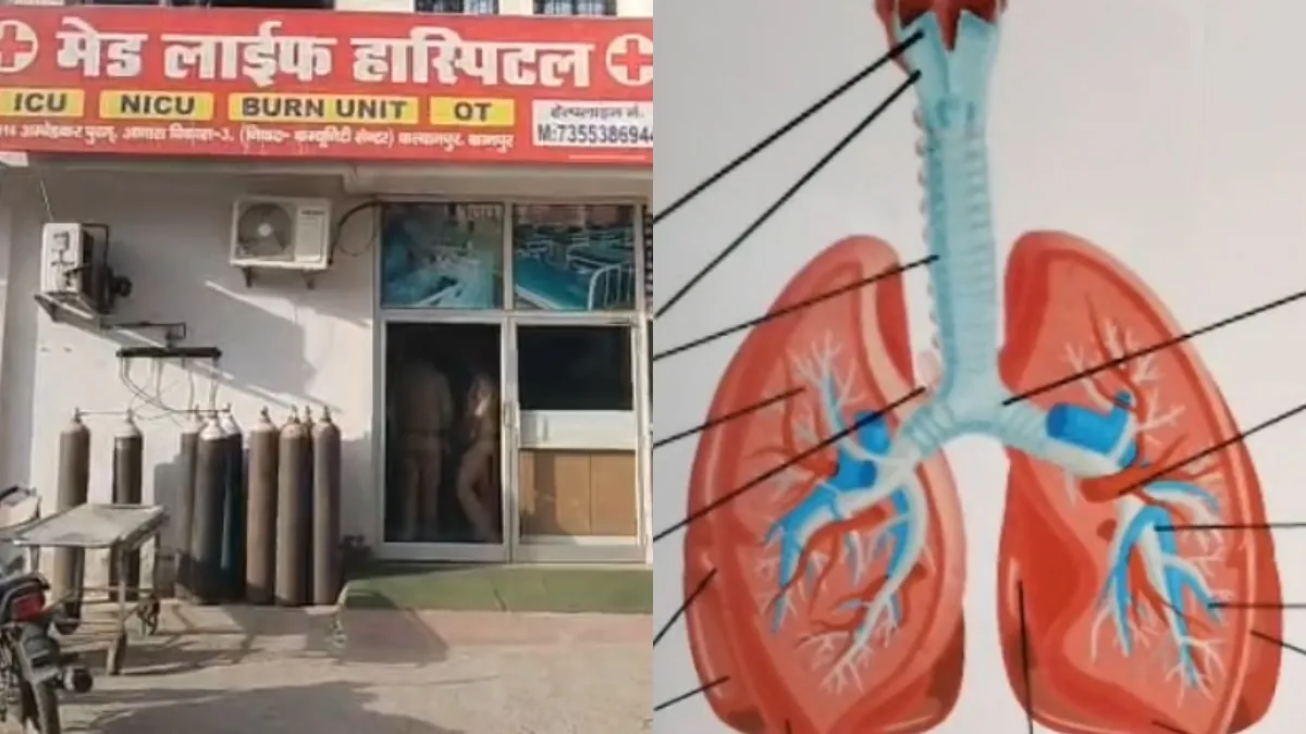 Kidney- India TV Hindi