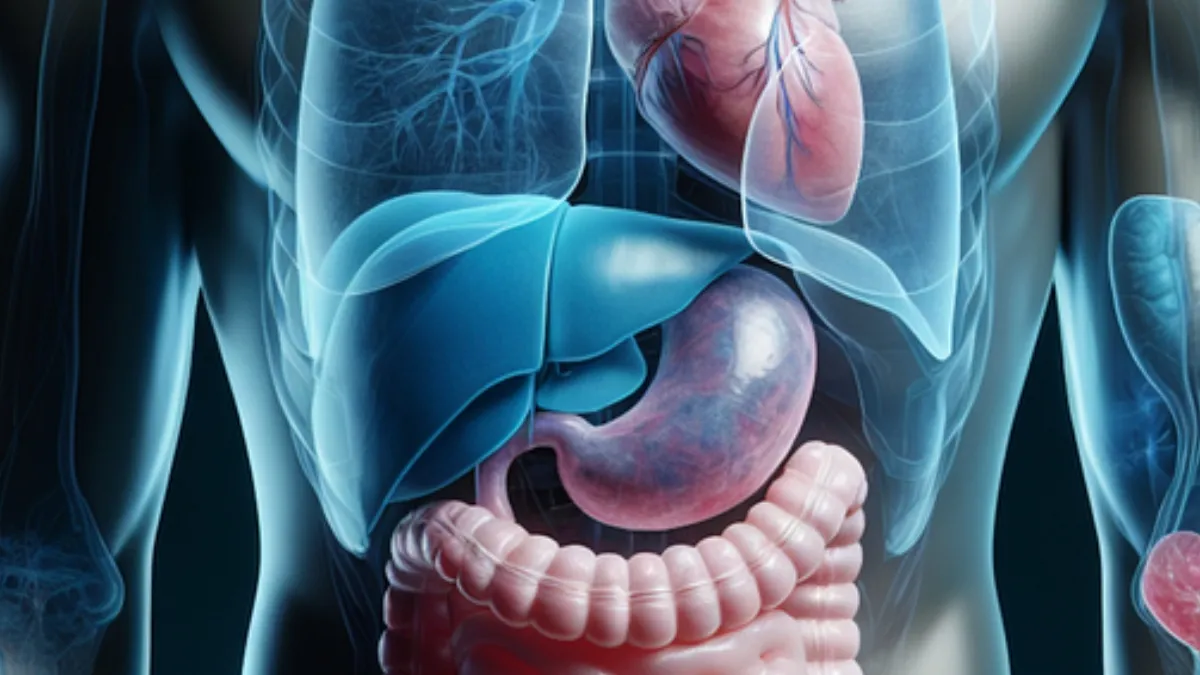 लिवर को डिटॉक्स कैसे करें?- India TV Hindi