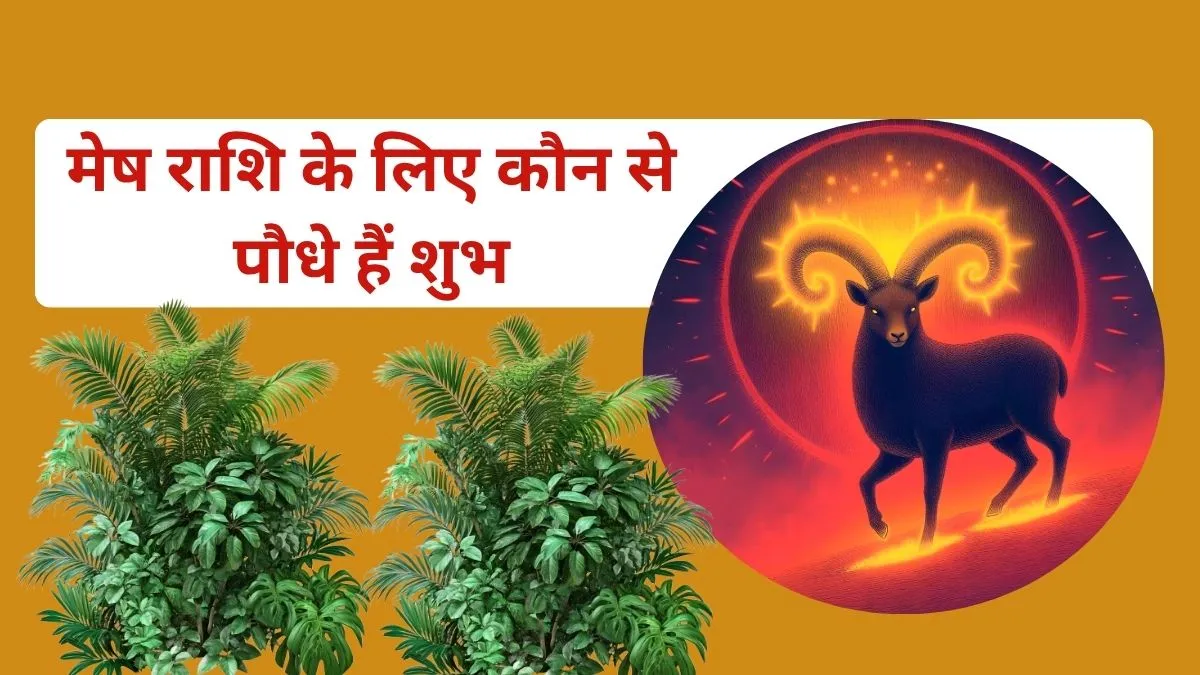 Lucky Plants for Aries- India TV Hindi