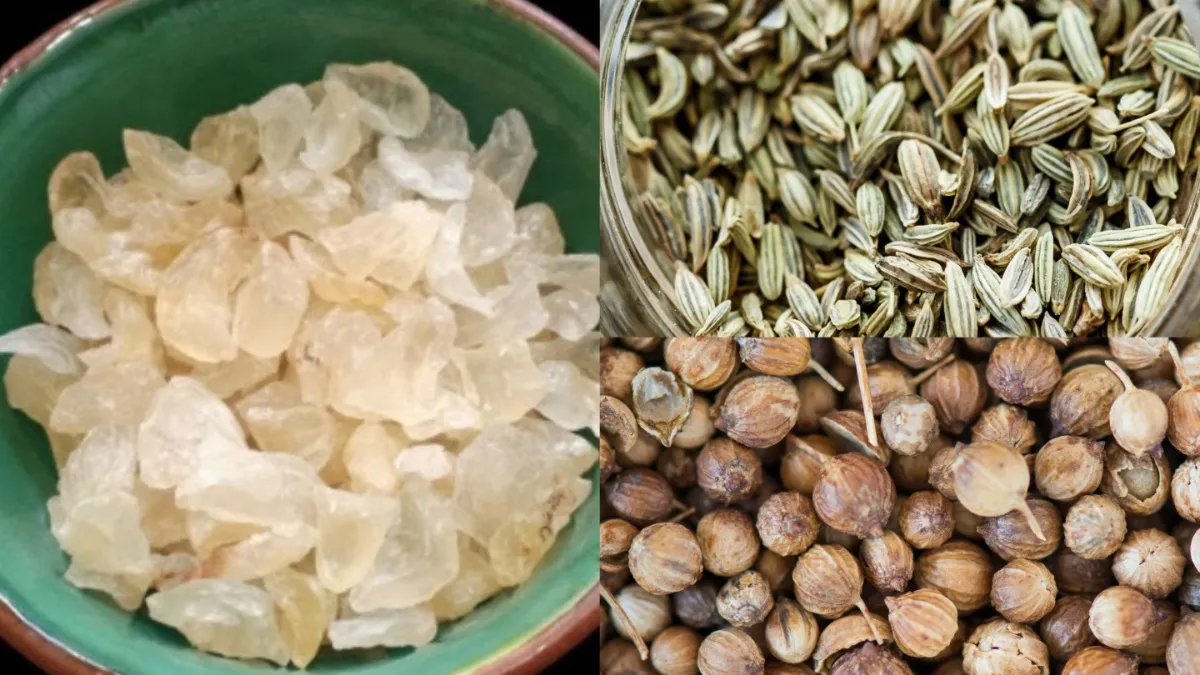 सौंफ-धनिया और गोंद कतीरा का मिश्रण- India TV Hindi