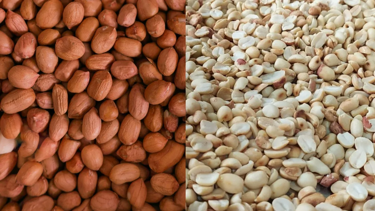 मूंगफली- India TV Hindi