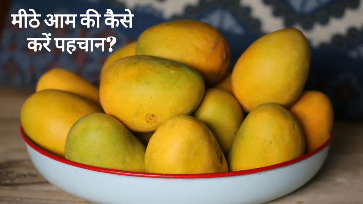 पका हुआ आम - India TV Hindi