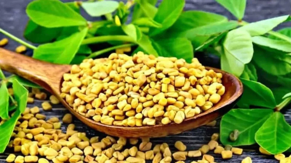  मेथी दाना खाने के फायदे,- India TV Hindi