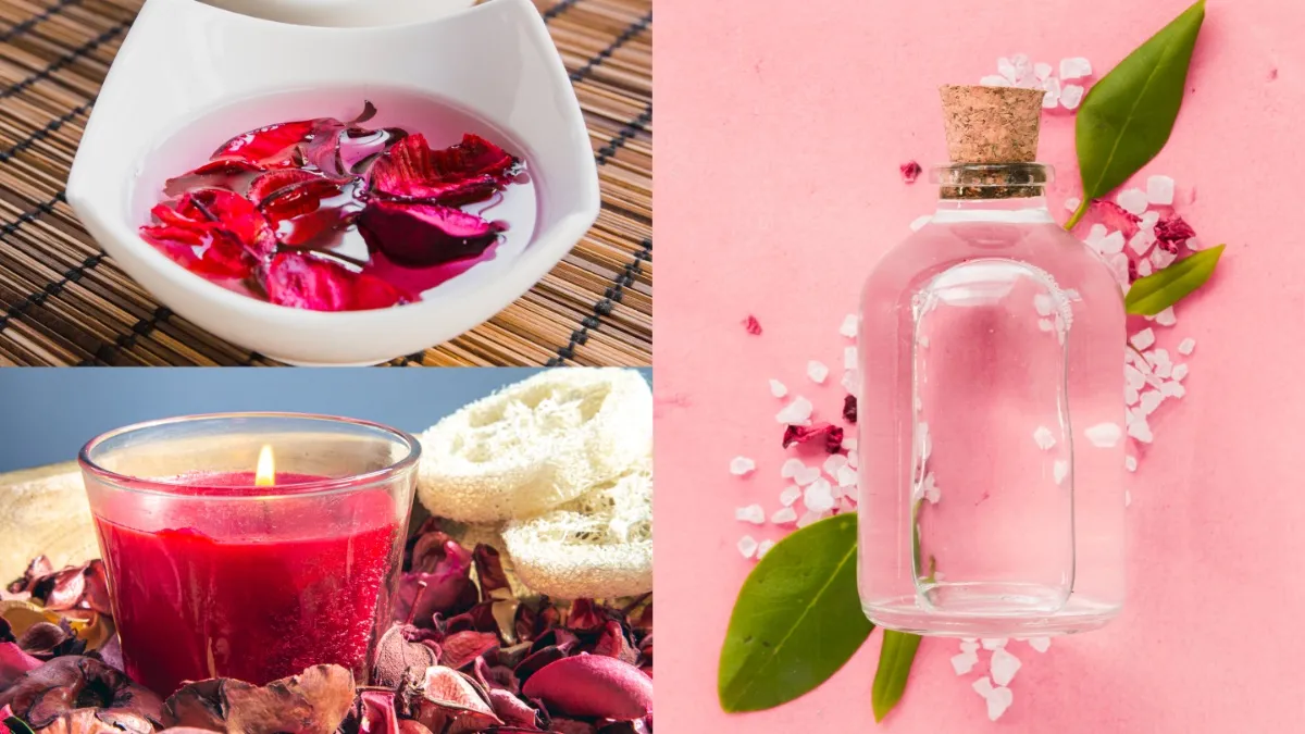 गुलाब जल कैसे बनायें- India TV Hindi