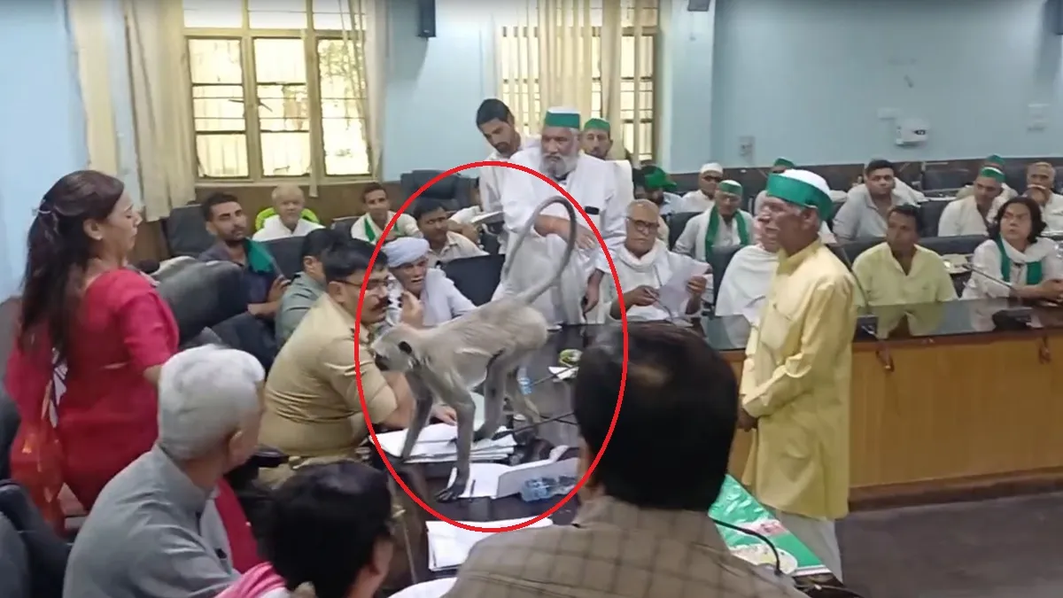 baghpat langur- India TV Hindi