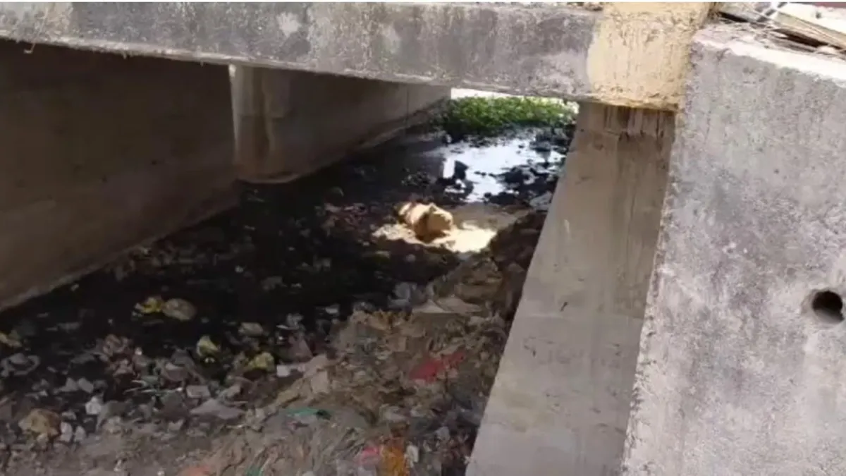 nagpur hotel owner murdered found in sewer- India TV Hindi