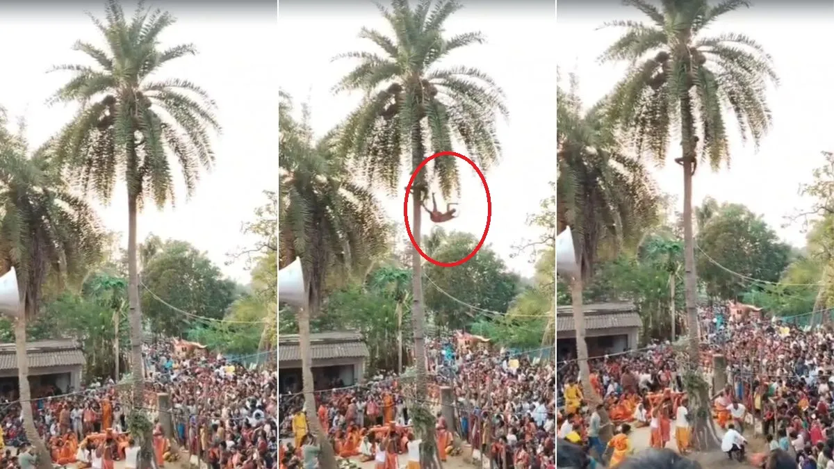person died after falling from palm tree - India TV Hindi