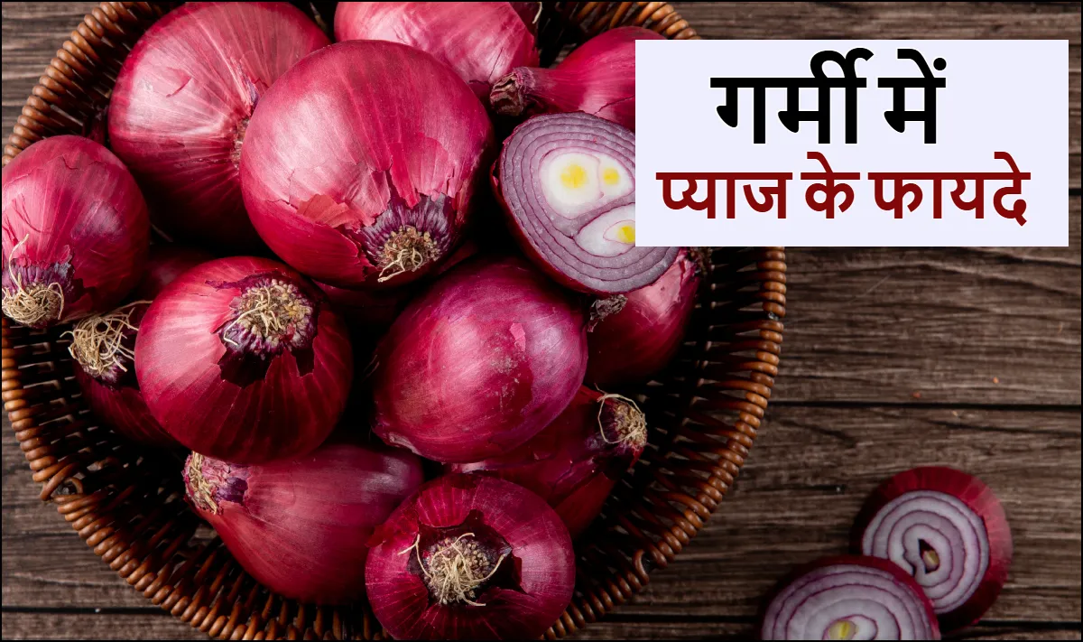 गर्मी में प्याज खाने के फायदे- India TV Hindi