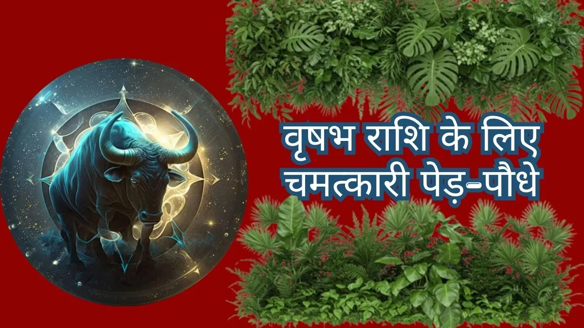 Taurus Lucky Plants vastu- India TV Hindi