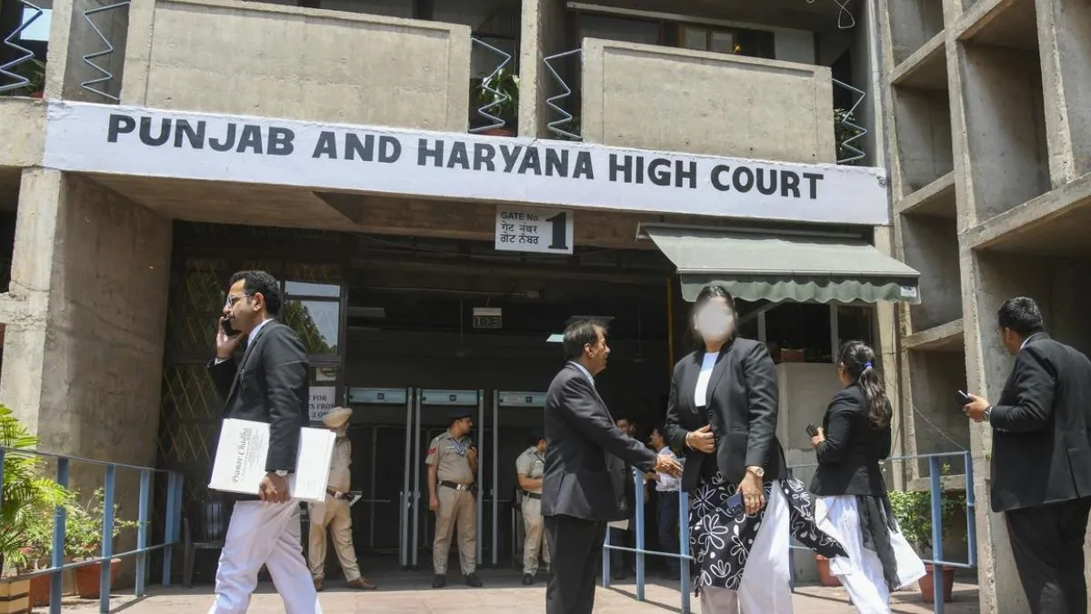 Punjab Haryana High Court Ruling- India TV Hindi