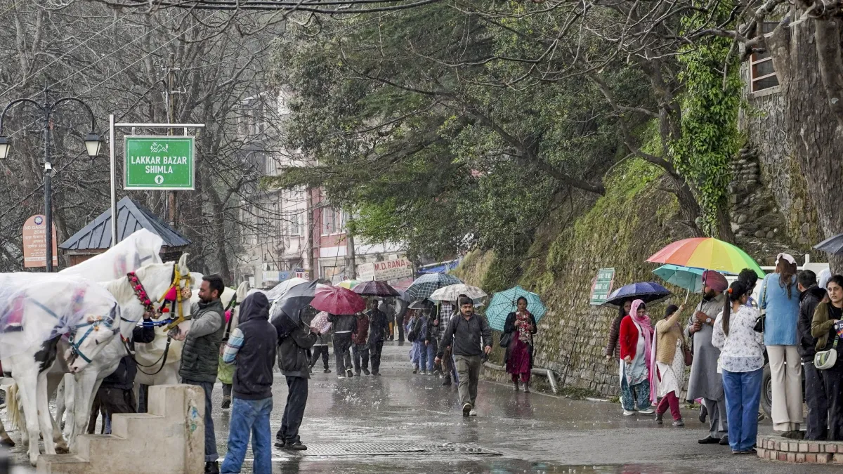 Shimla Rain- India TV Hindi