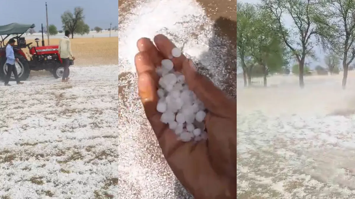 Rajasthan weather update, Jaisalmer hailstorm, Bikaner rain news, Rajasthan hailstorm damage- India TV Hindi