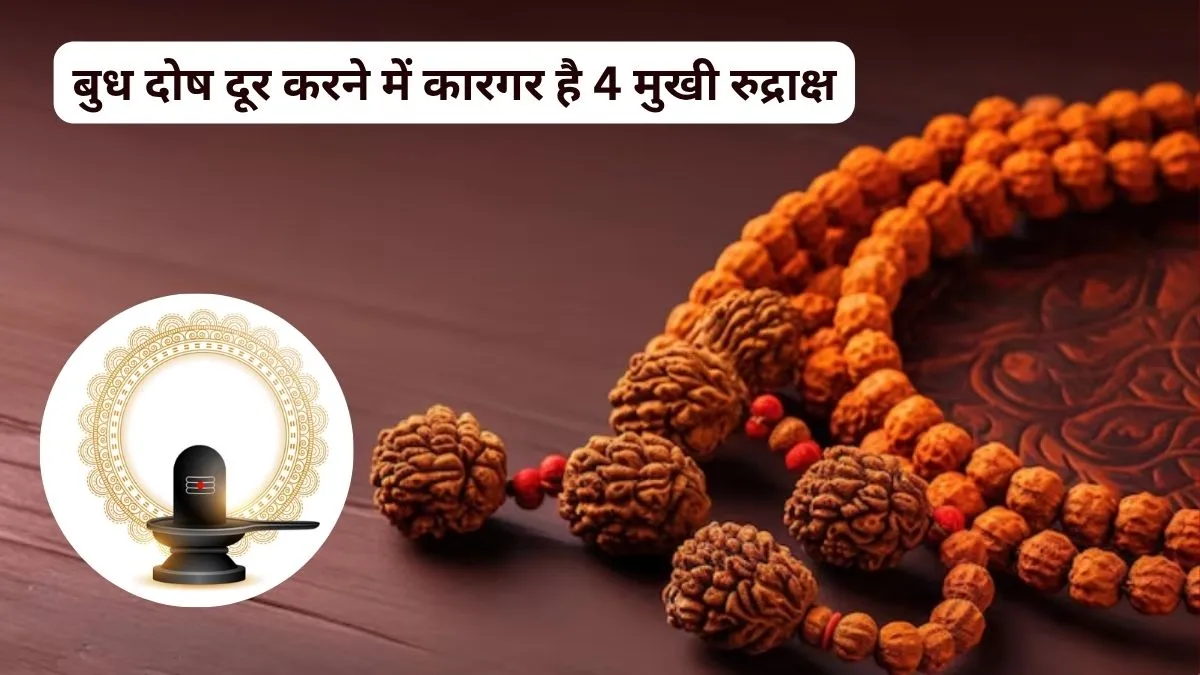 4 Mukhi Rudraksha Benefits- India TV Hindi