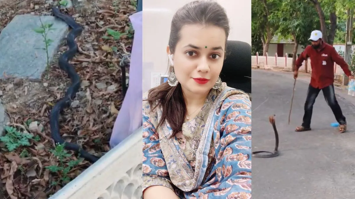  Tina Dabi- India TV Hindi