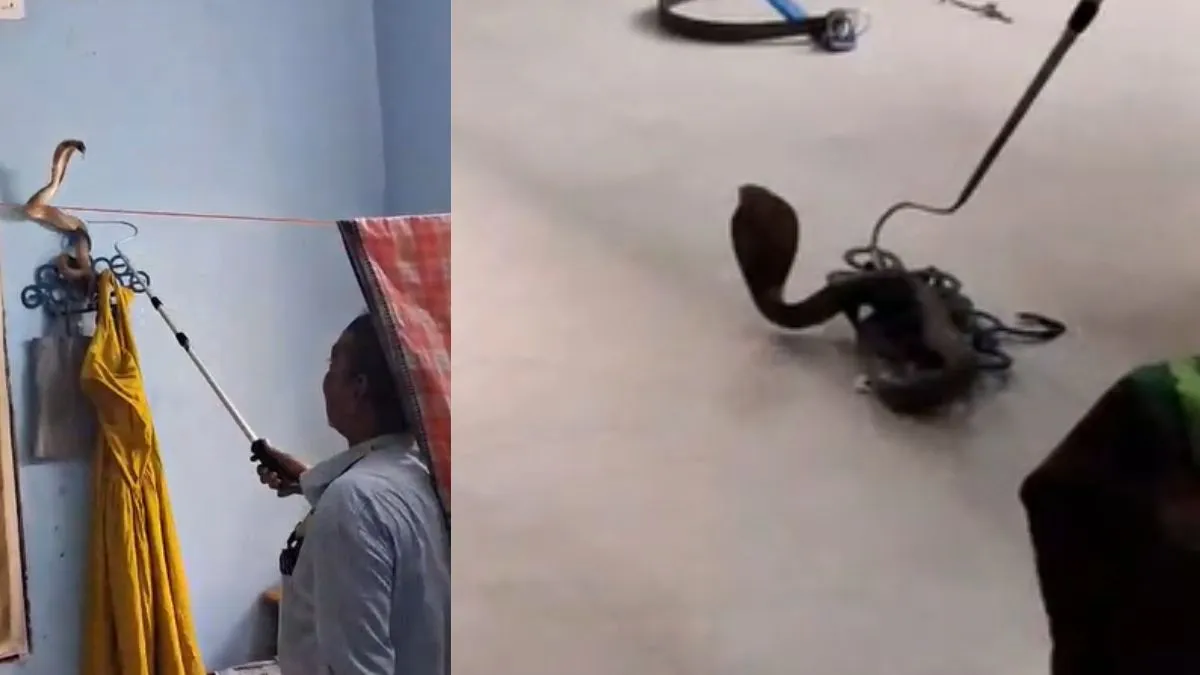 Snake- India TV Hindi