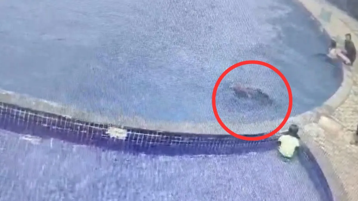 swimming pool - India TV Hindi