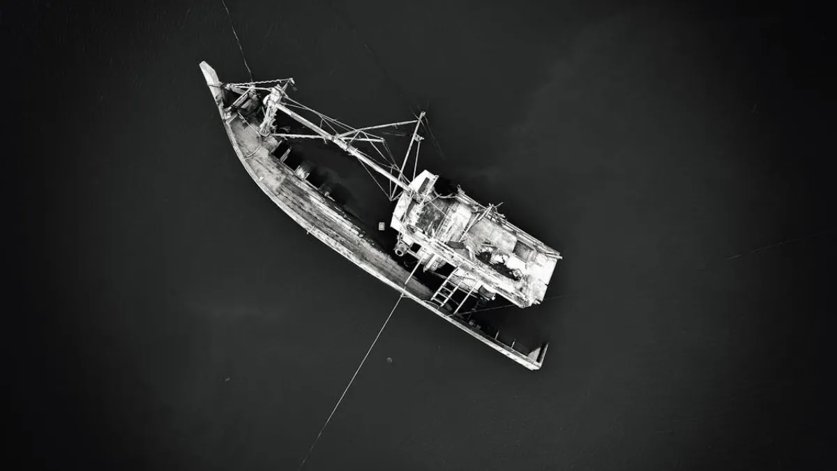 turkiye boat capsize afghanis died- India TV Hindi