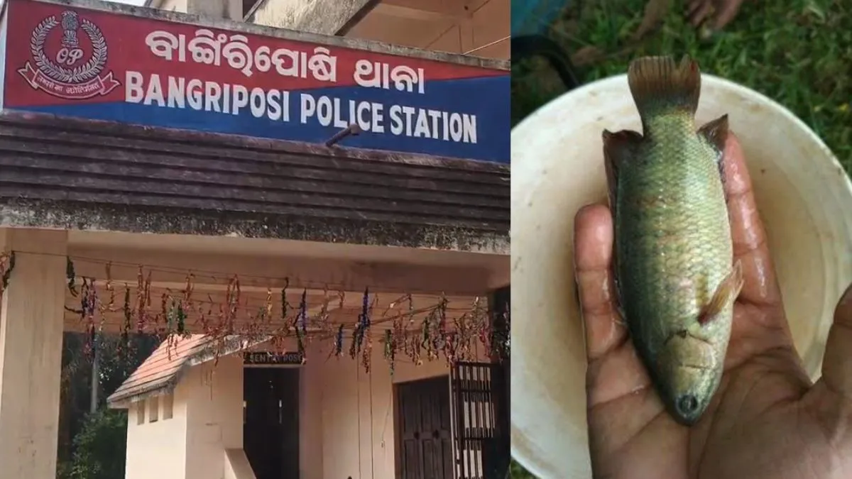 गले में मछली फंसने से युवक की मौत। - India TV Hindi