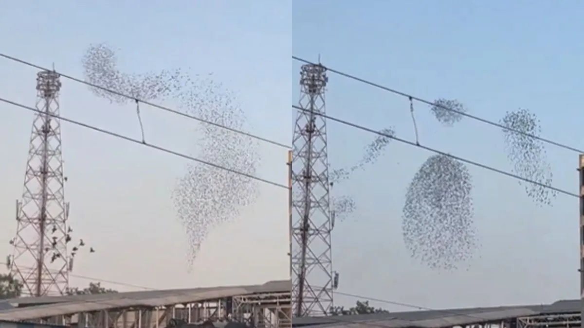 वायरल वीडियो का स्क्रीनशॉट- India TV Hindi