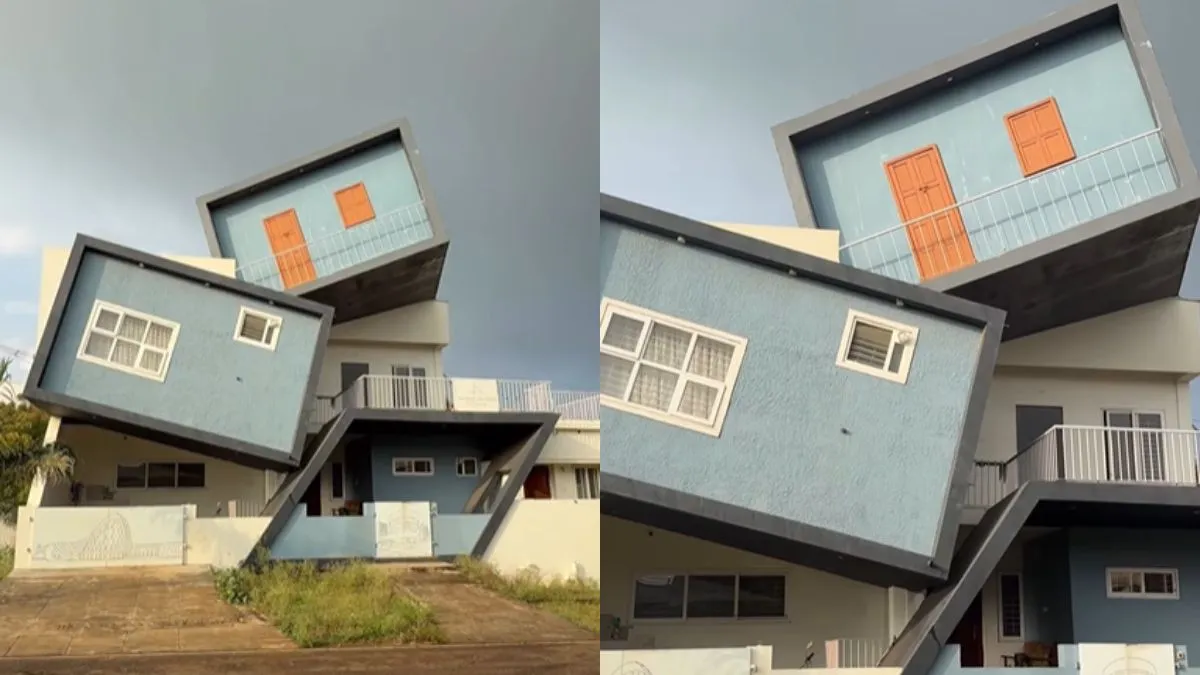 वायरल वीडियो का स्क्रीनशॉट- India TV Hindi