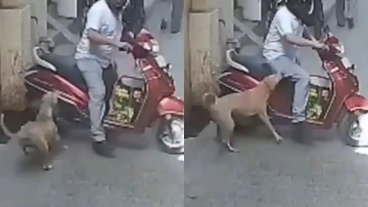 वायरल वीडियो का स्क्रीनशॉट- India TV Hindi