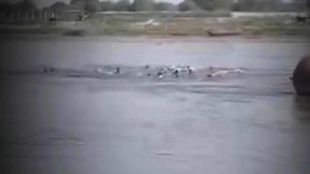 Vrindawan- India TV Hindi