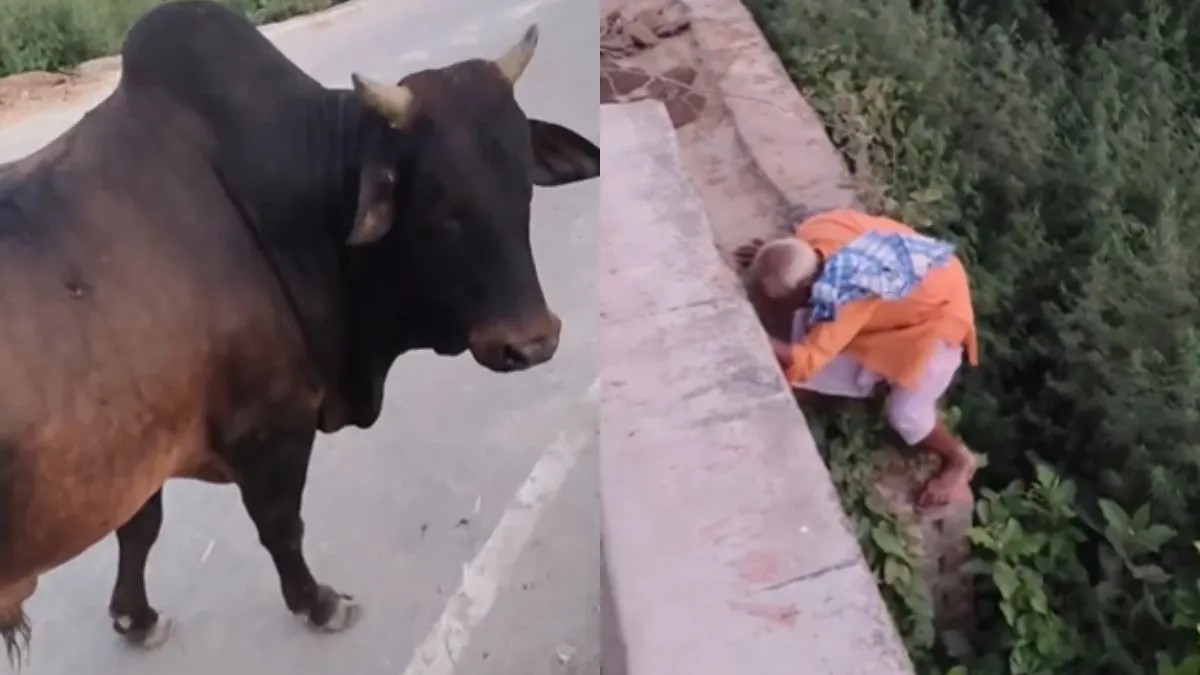 वायरल वीडियो का स्क्रीनशॉट- India TV Hindi