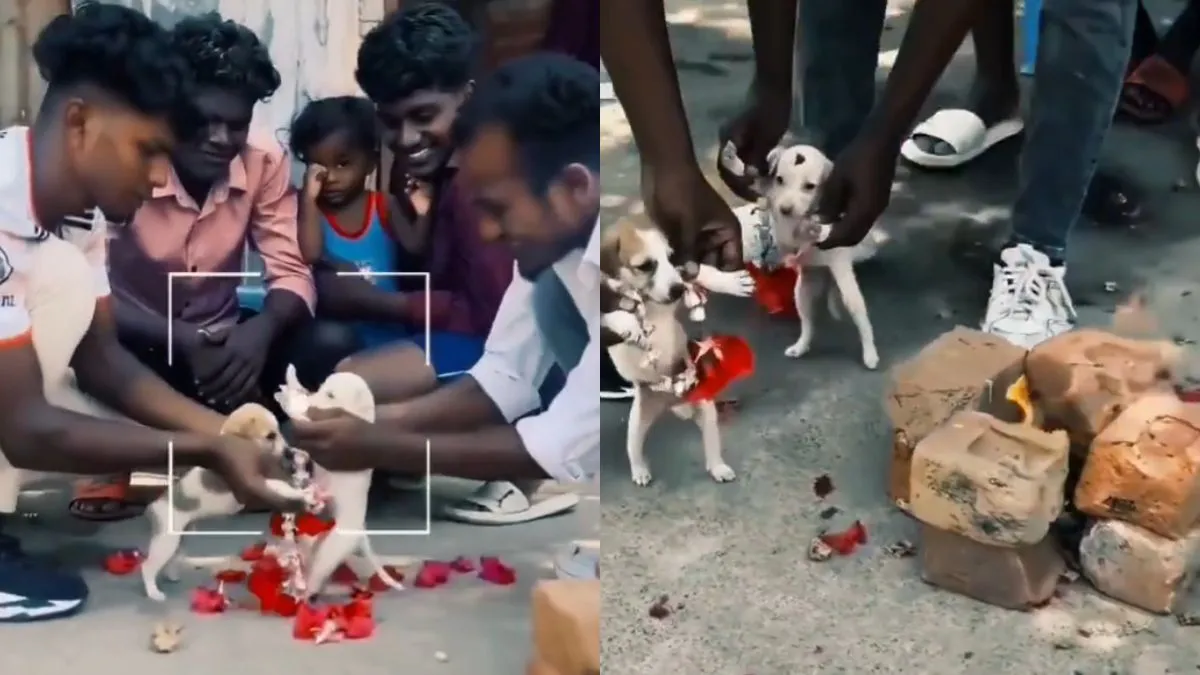 वायरल वीडियो का स्क्रीनशॉट- India TV Hindi