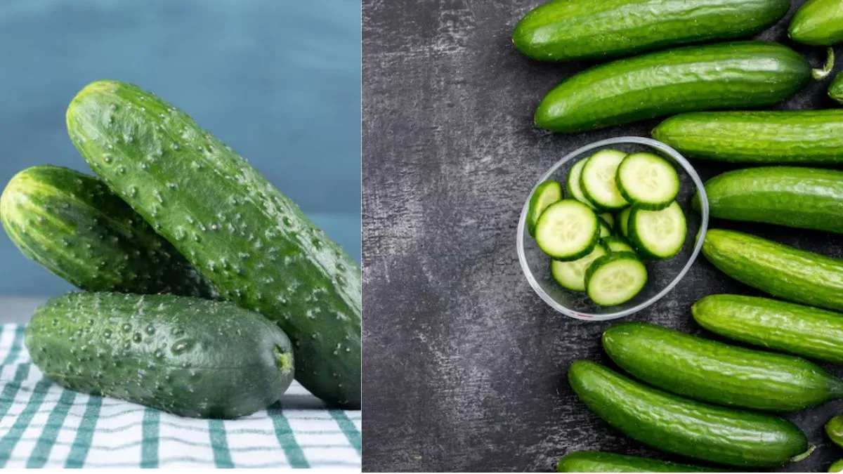 ताजा और बासी खीरे की पहचान कैसे करें- India TV Hindi