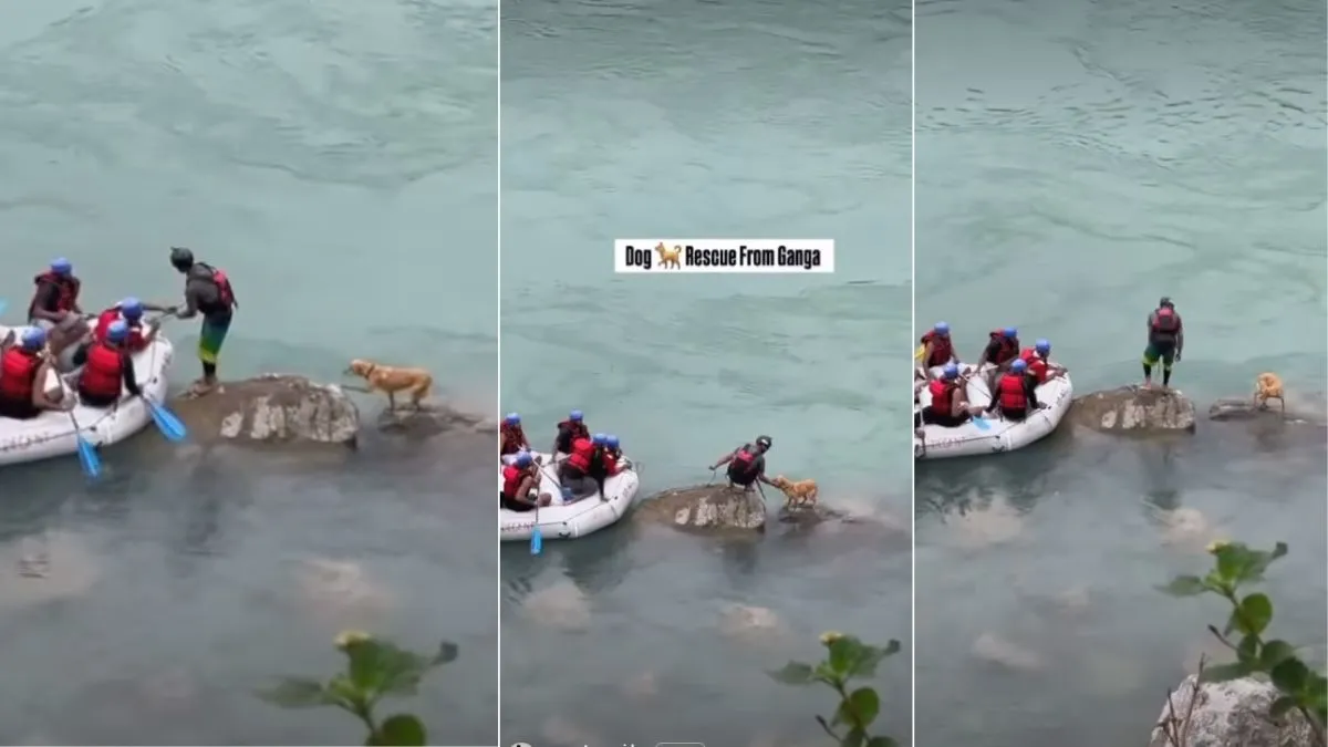 scue Video, Rishikesh Rafting Video, Aaj Ka Viral Video, Viral Video, Viral News, India TV- India TV Hindi