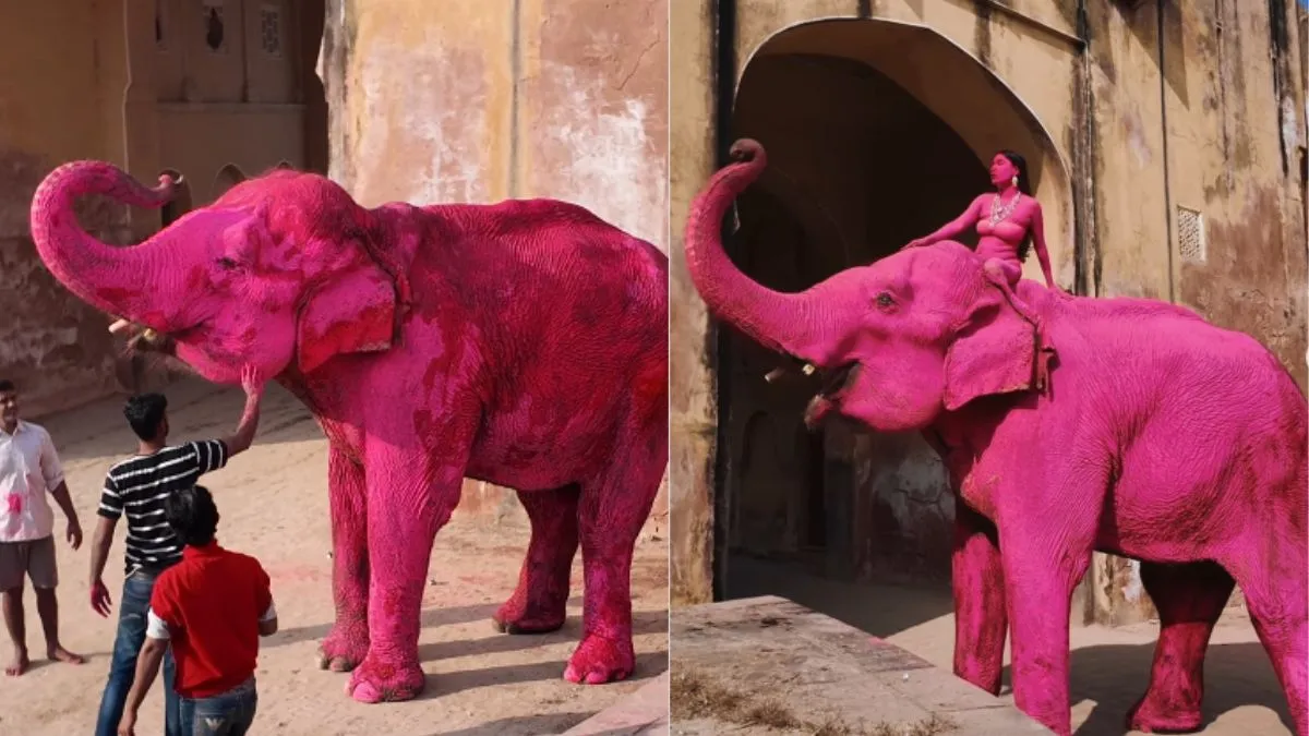 Foreigner Tourist Video, Pink Elephant Video, pink elephant photoshoot controversy, animal rights ou- India TV Hindi