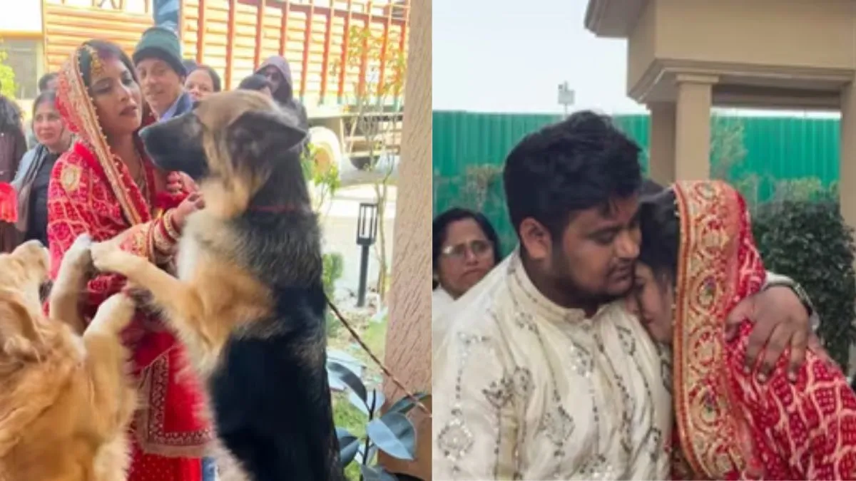 Dulhan Ka Video, Bride Viral Video, Aaj Ka Viral Video, Bride Video, Viral News - India TV Hindi