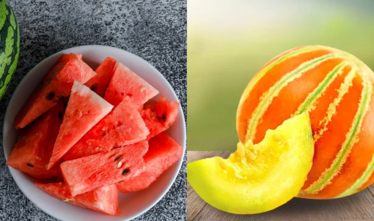 सुबह खाली पेट तरबूज और खरबूज - India TV Hindi
