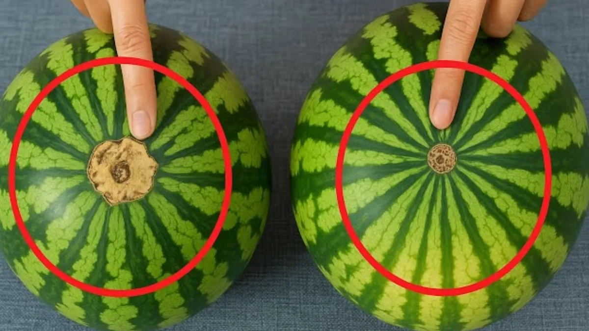 मीठे तरबूज की पहचान- India TV Hindi