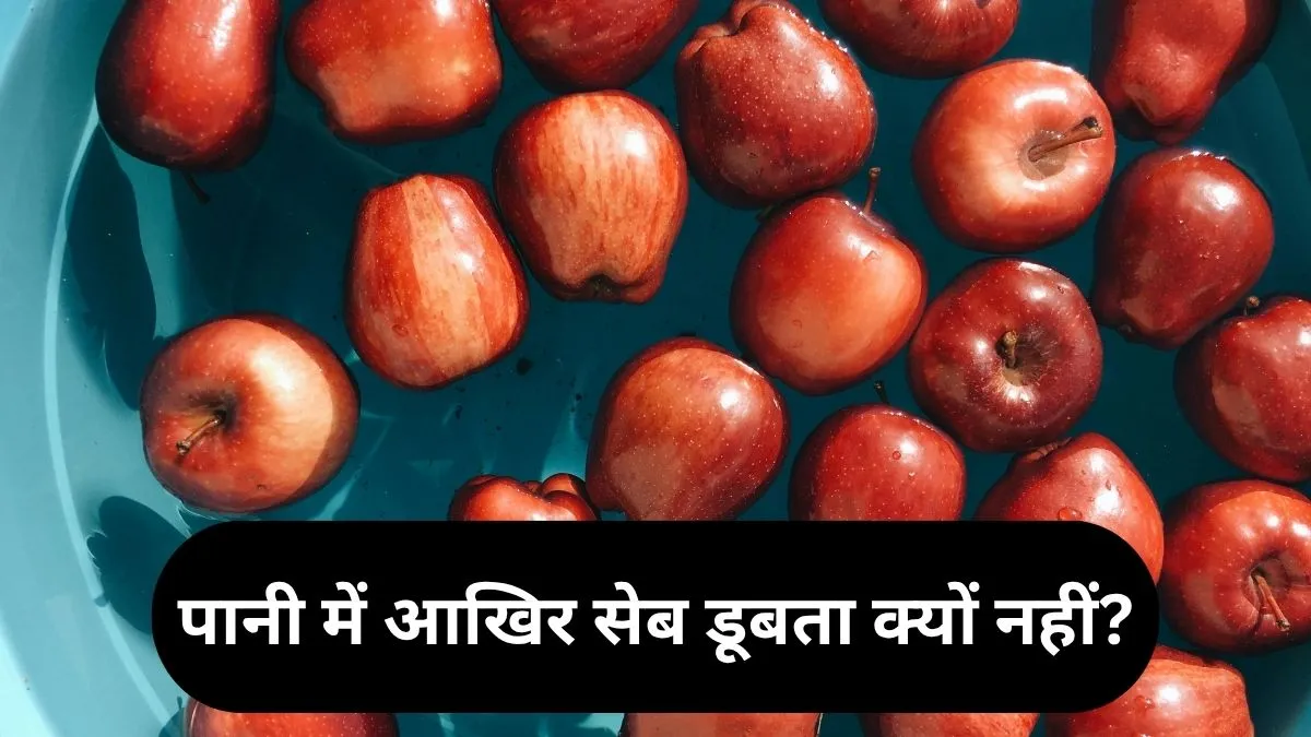 Amazing Facts About Apples- India TV Hindi