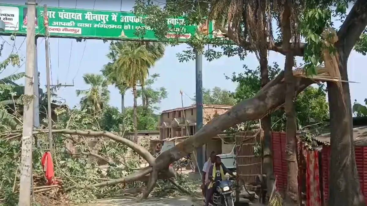 घर पर गिरा ताड़ का...- India TV Hindi