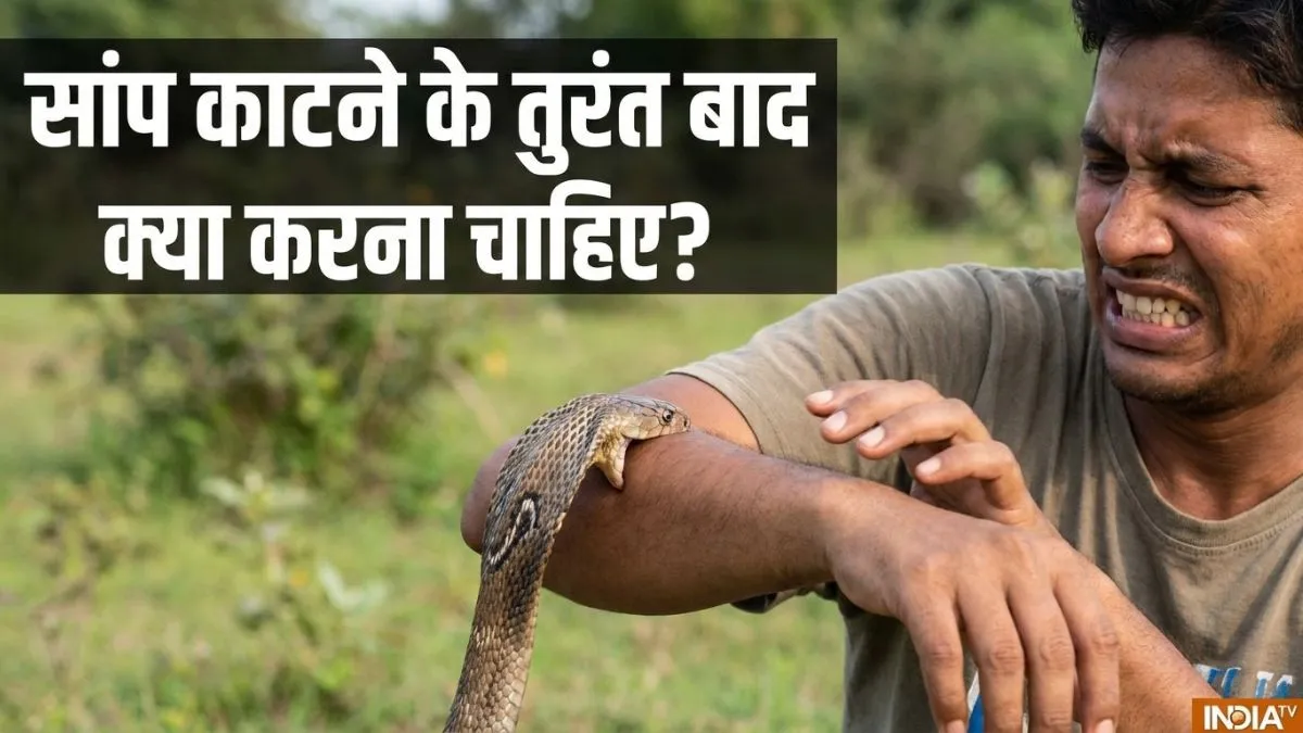 सांप काटने के तुरंत बाद क्या करना चाहिए?- India TV Hindi