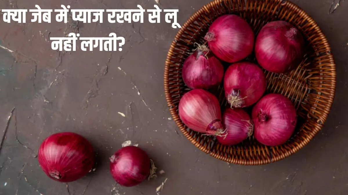 क्या जेब में प्याज रखने से लू नहीं लगती? - India TV Hindi