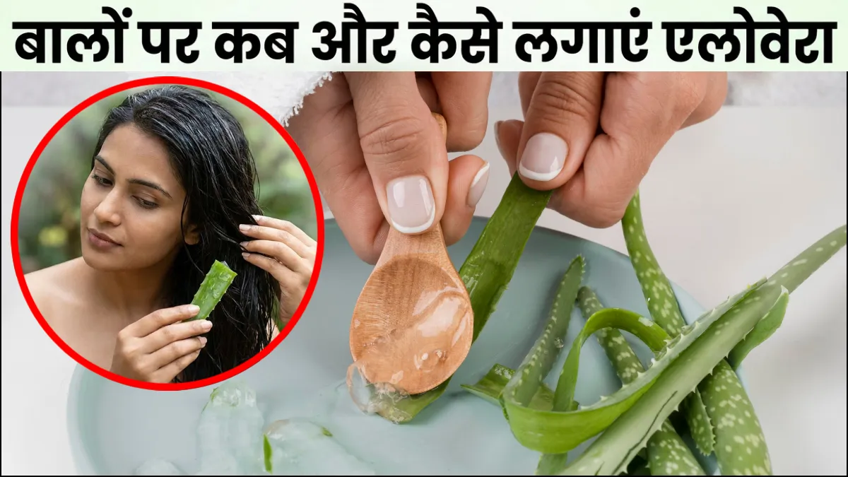 बालों पर एलोवेरा जेल कब और कैसे लगाएं- India TV Hindi