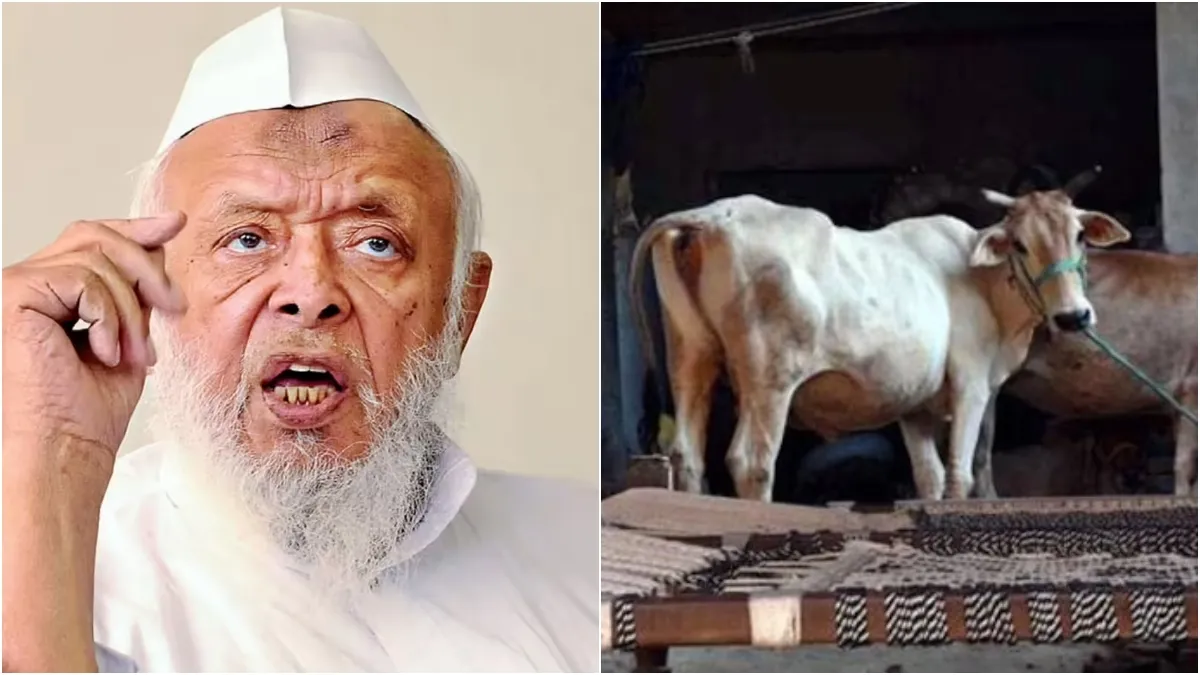 अरशद मदनी और गाय की तस्वीर- India TV Hindi