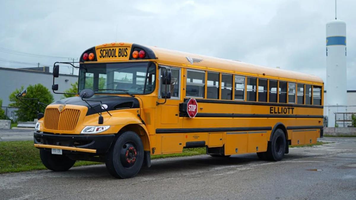 Why School Bus is Yellow, School Bus Yellow Colour, school bus colour yellow why, school bus colour - India TV Hindi