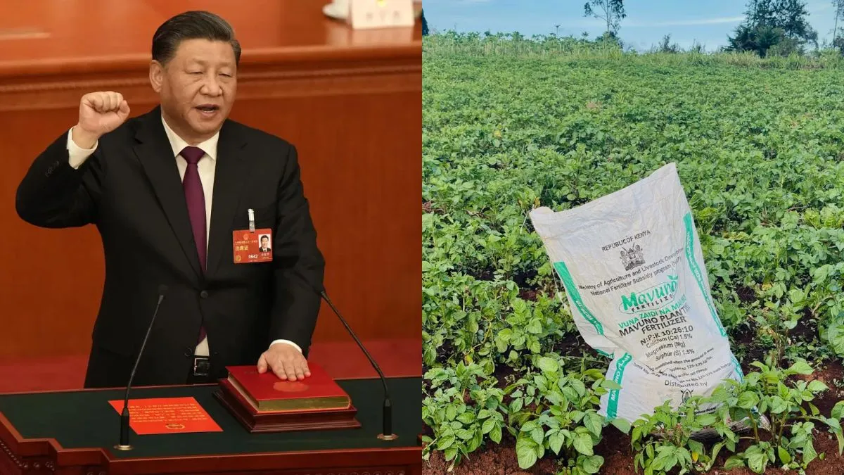 China fertilizer stockpile, David Malpass China warning, global food crisis, China fertilizer export- India TV Hindi