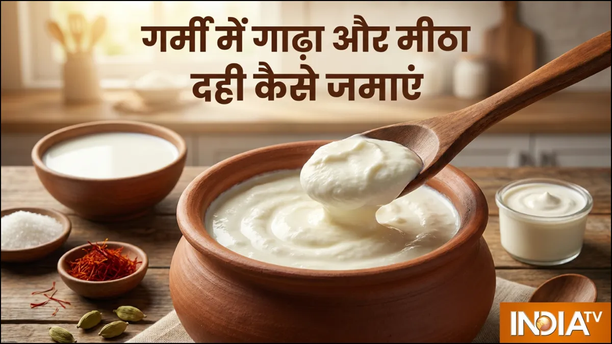 गर्मी में गाढ़ा दही कैसे जमाएं - India TV Hindi