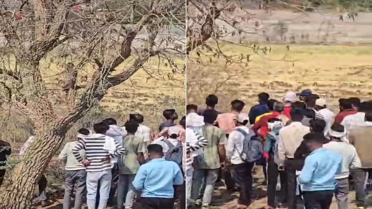 इंदौर रोड पर पेड़ से...- India TV Hindi
