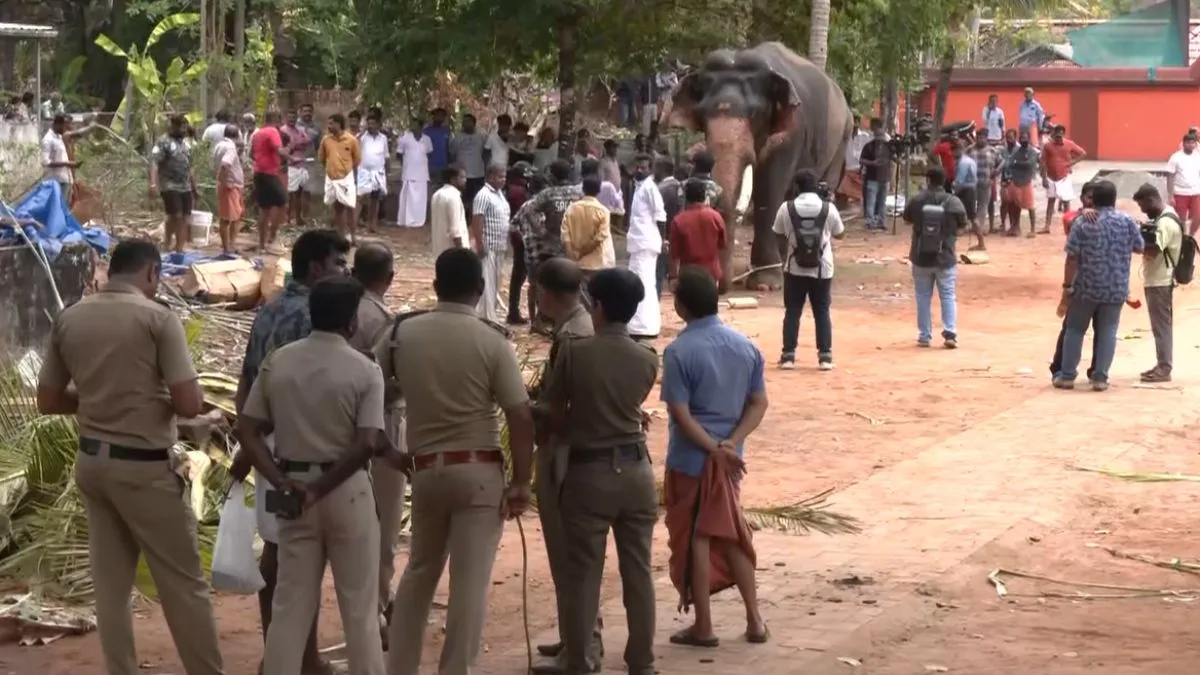 Angamaly elephant attack, Irinjalakuda temple tragedy, elephant attack- India TV Hindi